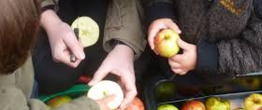!!!COMPLET!!!: 28.09.´24: Pressage de jus de pommes  à Eppeldorf et déjeuner convivial